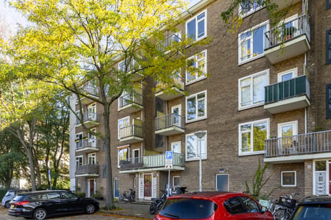 Theodorus Majofskistraat thumbnail