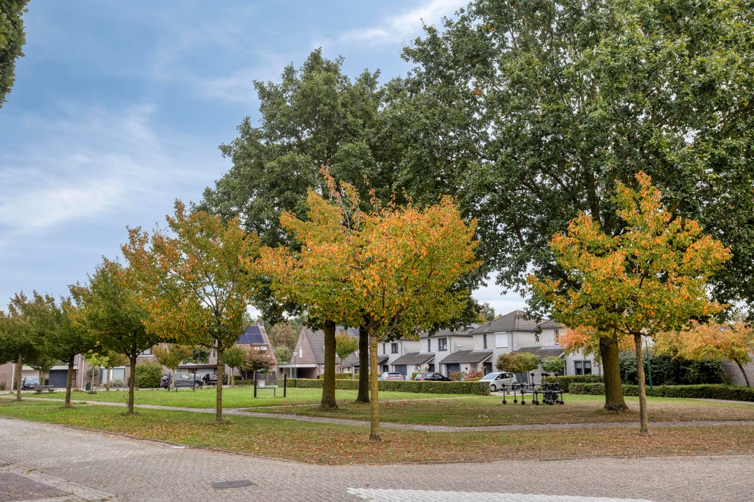 Photo 38 of Waterhoenhorst 5
