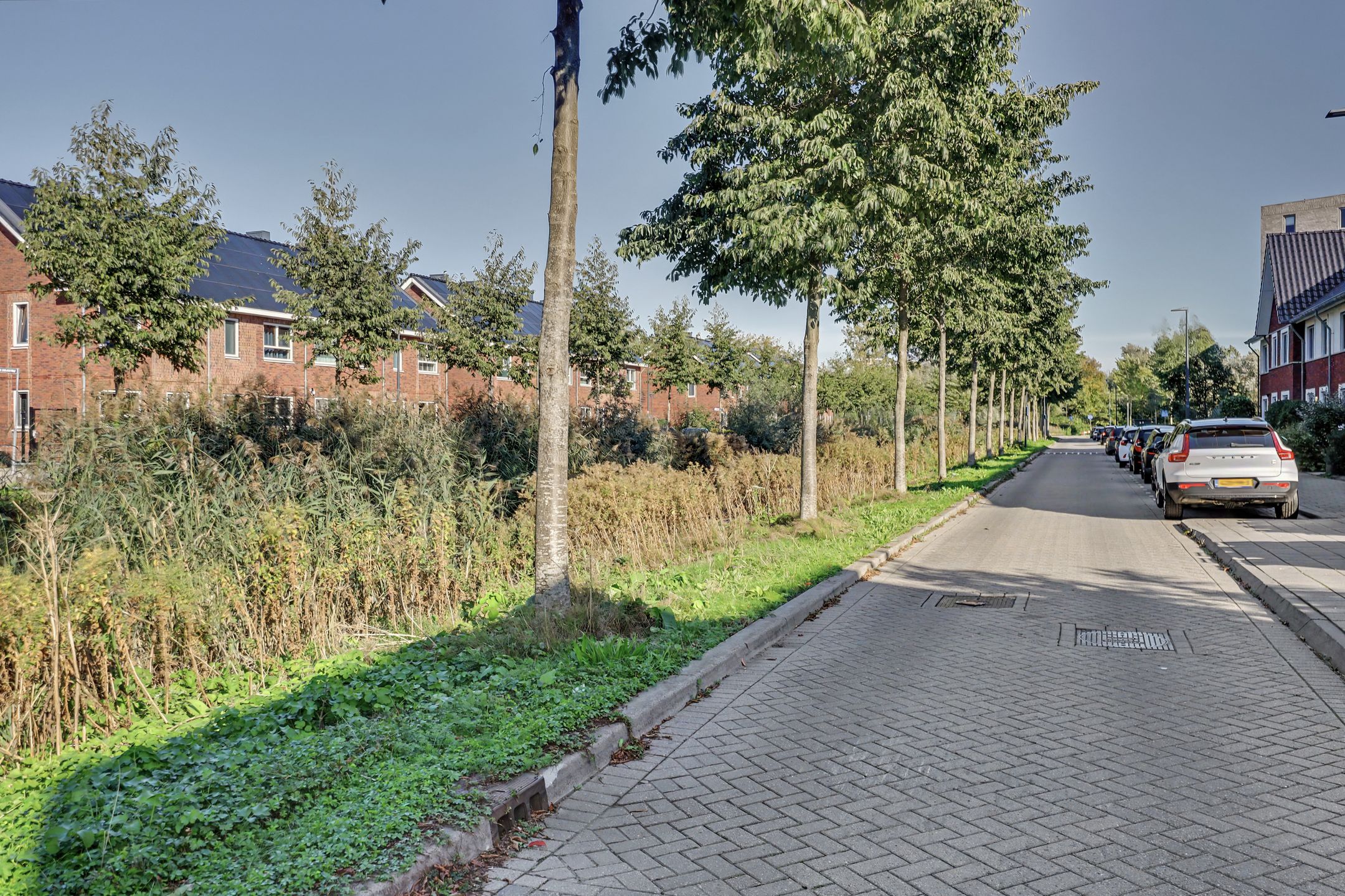 Foto 42 van Olympiaweg 19-A