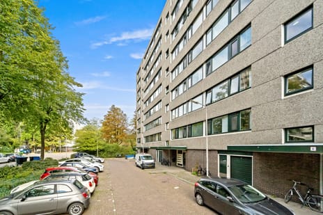 Roland Holstlaan thumbnail