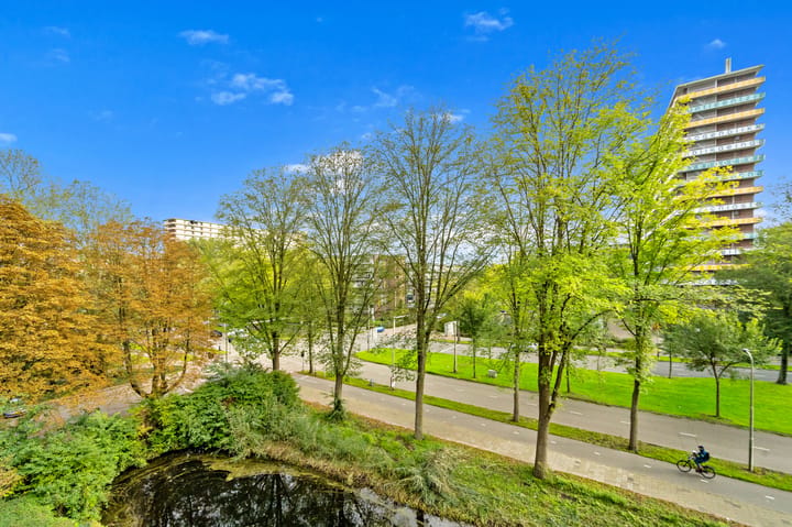 Appartement te koop: Roland Holstlaan 1139, Delft