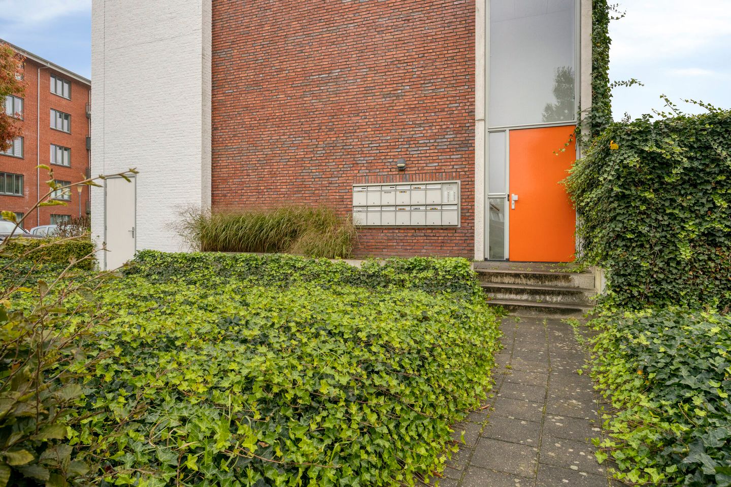Foto 19 van Eekhoorn 19