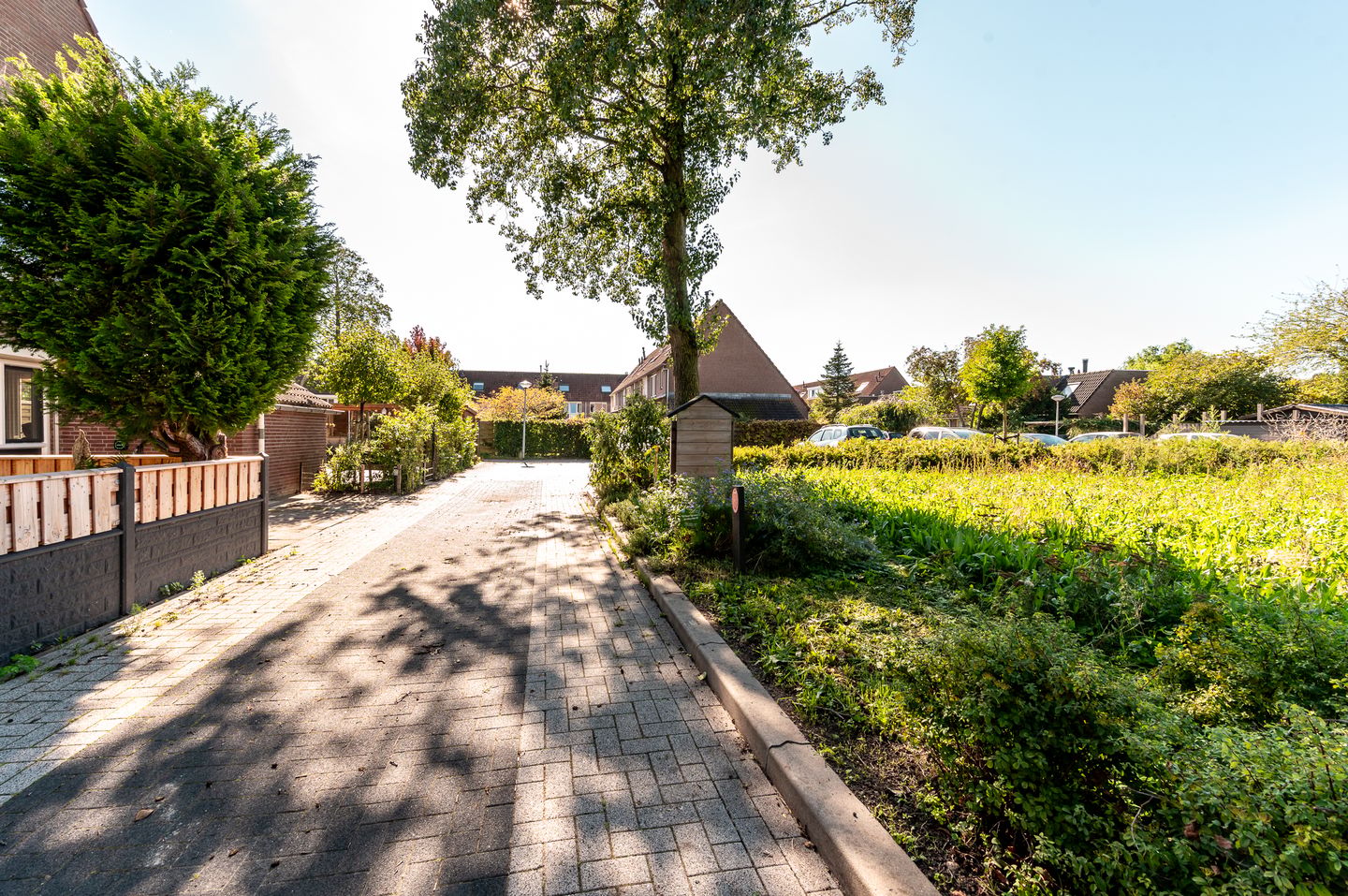 Photo 40 of Wogmeer 7