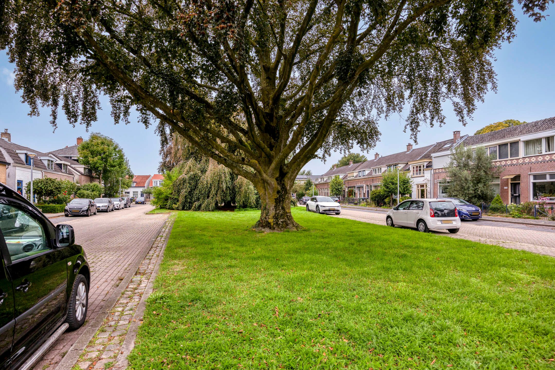 Photo 18 of Sterrebos 15