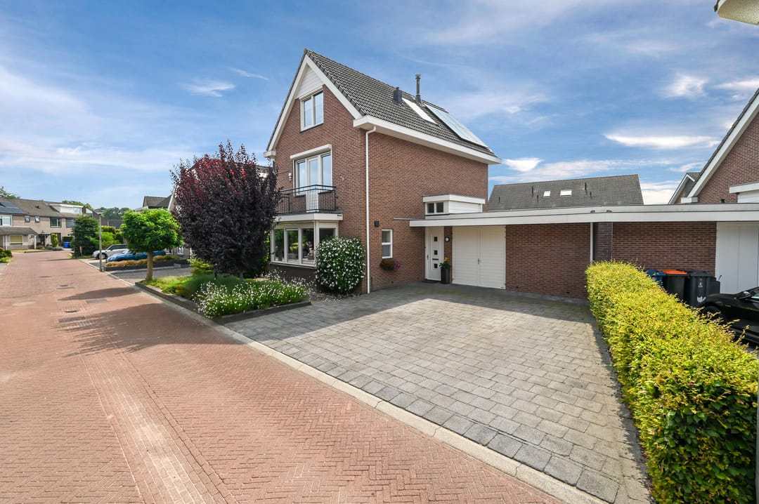 Photo 1 of Gentiaan 9
