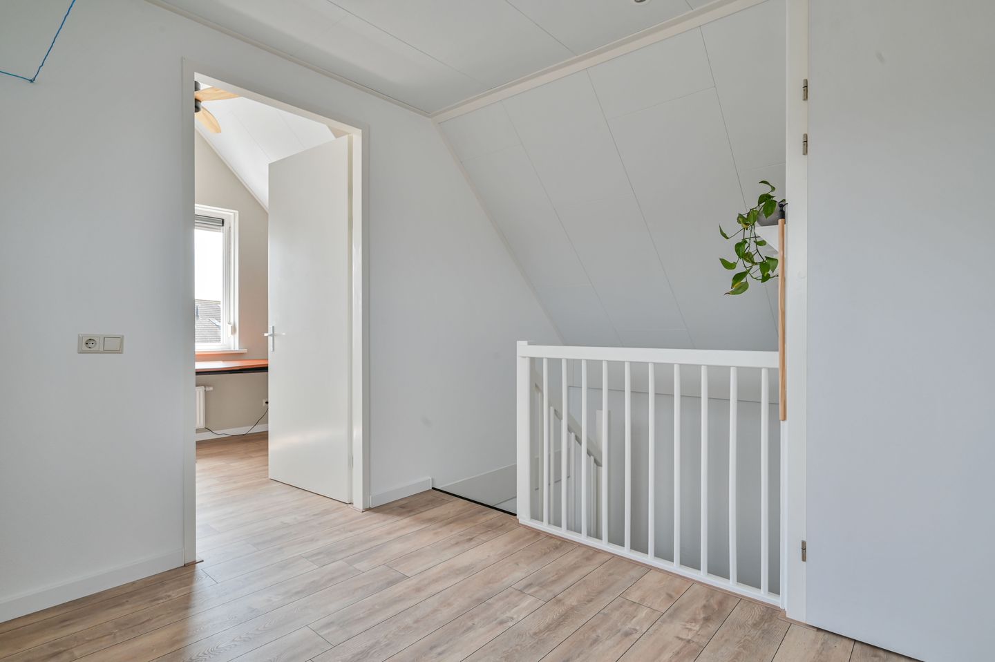 Photo 29 of Gentiaan 9