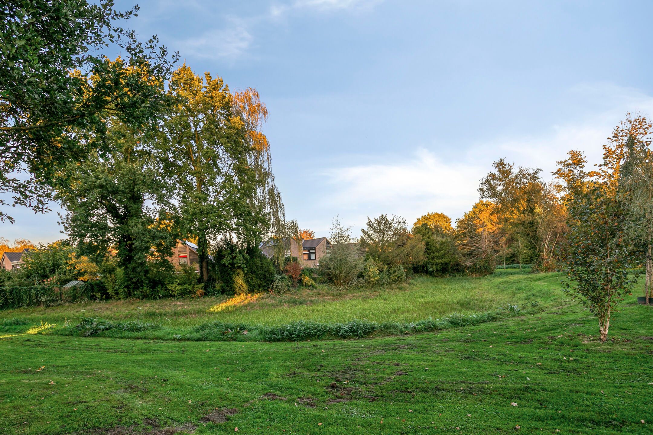 Photo 48 of Schutsboom 76-A