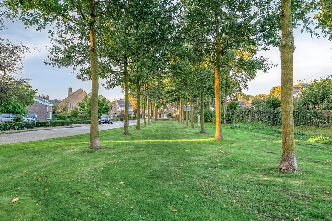 Photo 47 of Schutsboom 76-A