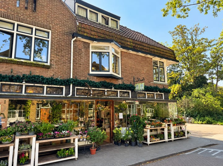 Buitenveer 19