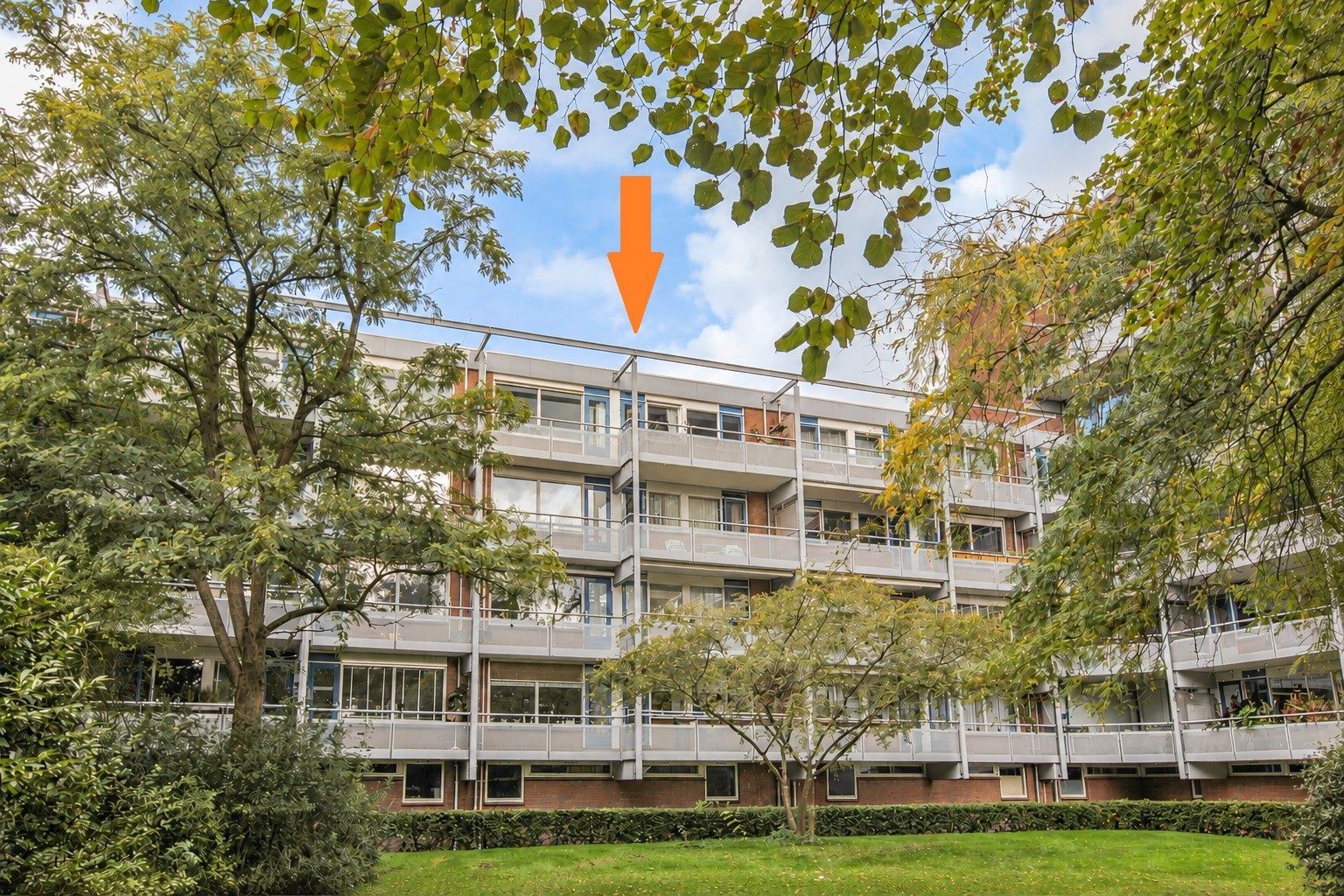 Koolmeesstraat 62 