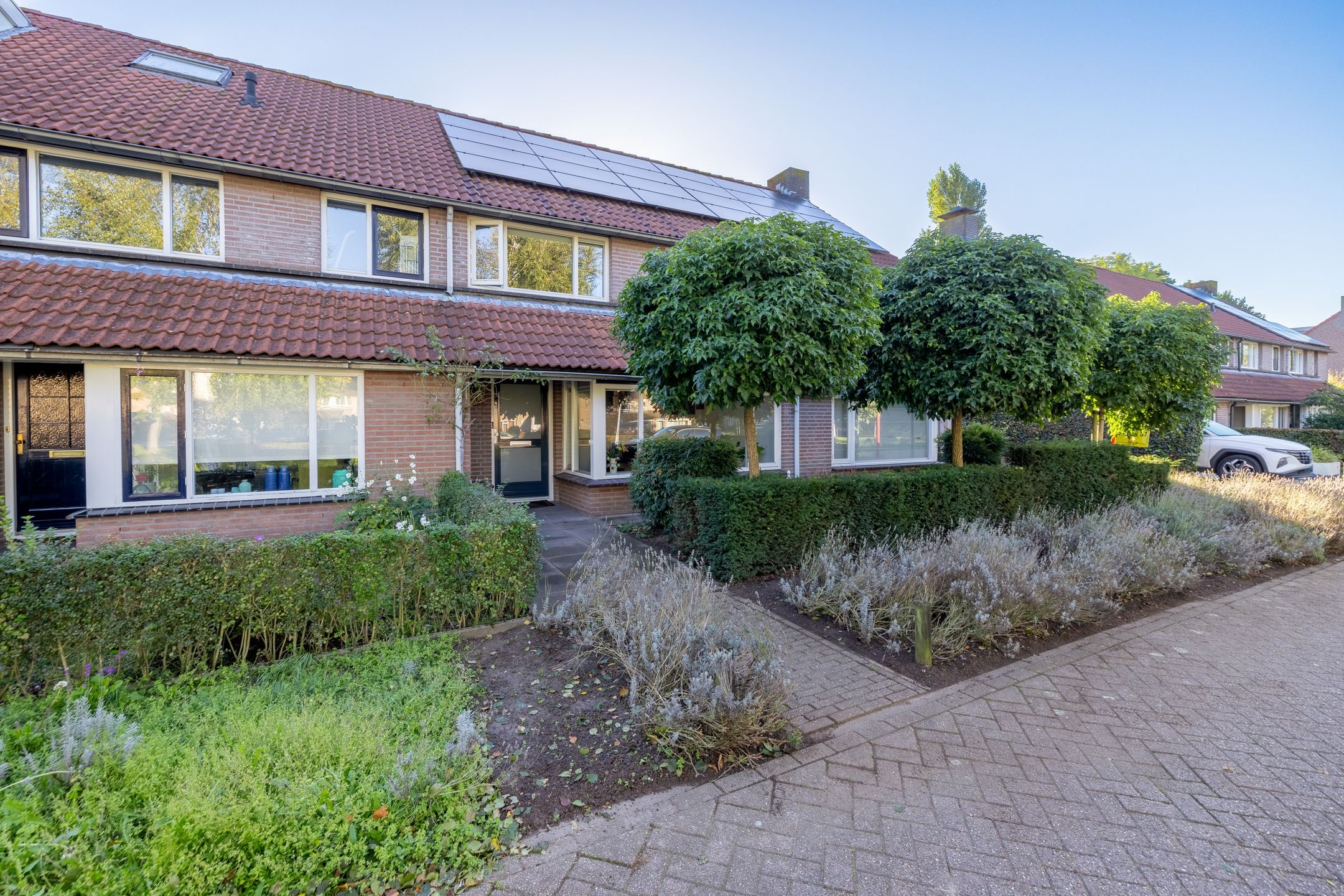 Goudplevier 31 