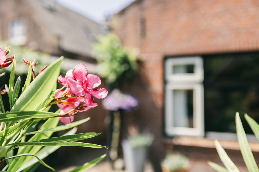 Photo 16 of Dorpstraat 1