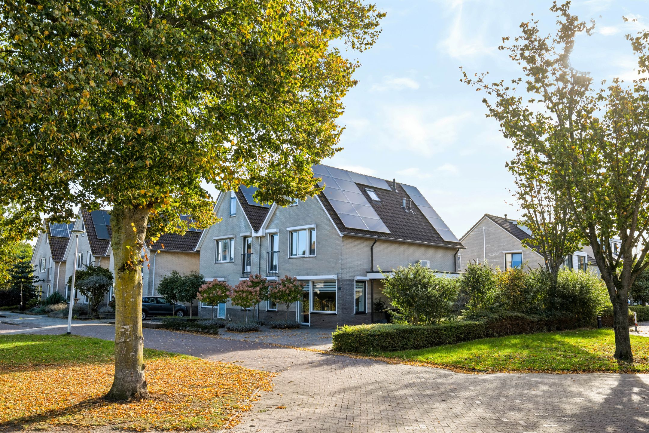 Foto 42 van Anemoon 25