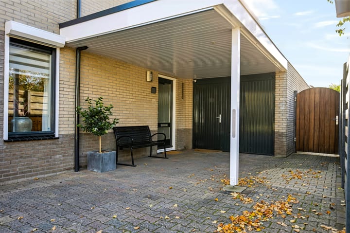 Foto 4 van Anemoon 25