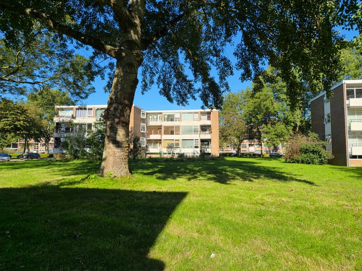 Foto 4 van Bordineweg 3-B