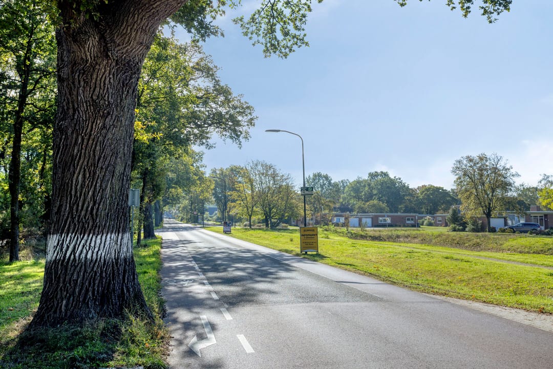 Photo 58 of Dennenlaan 11