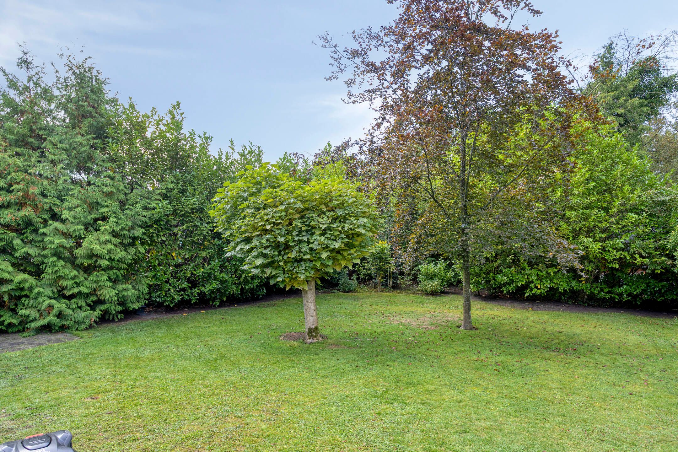 Photo 48 of Dennenlaan 11