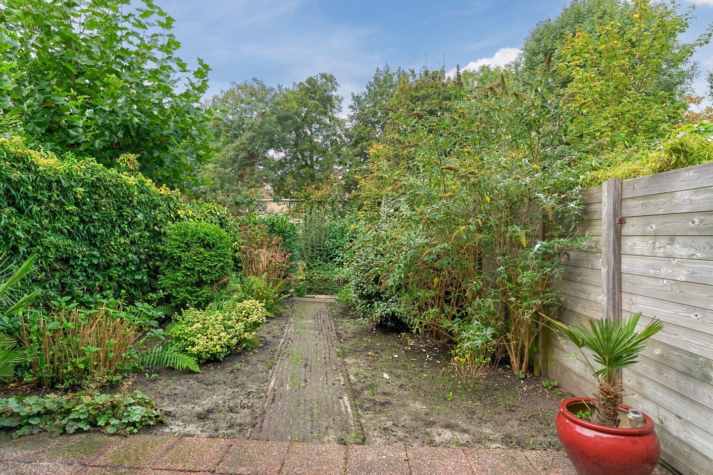 Photo 34 of Rosa Spierlaan 15
