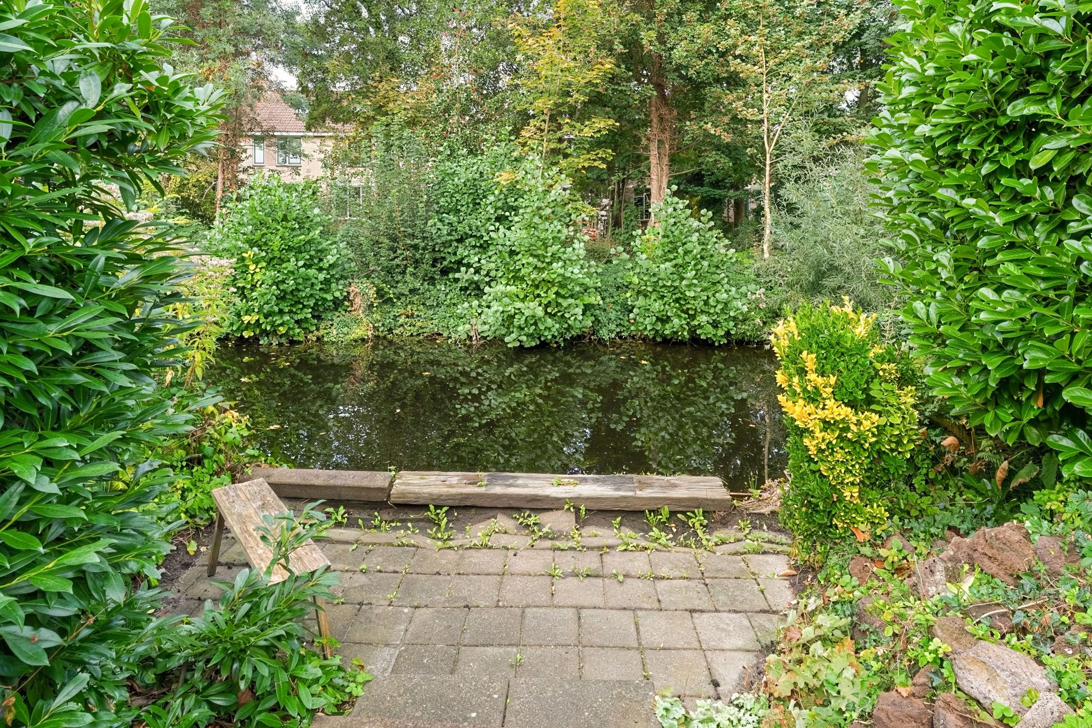 Photo 36 of Rosa Spierlaan 15