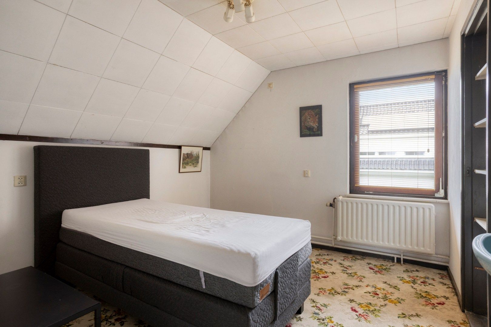 Photo 33 of Hulsbos 15