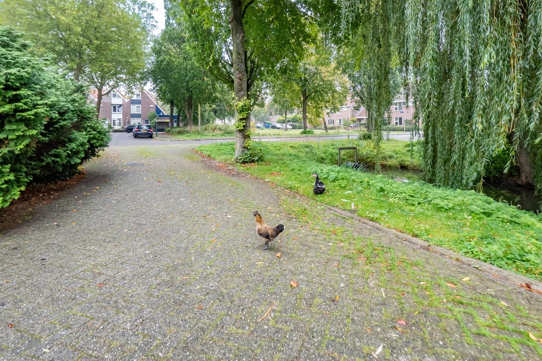 Photo 37 of Valeriaanveld 30