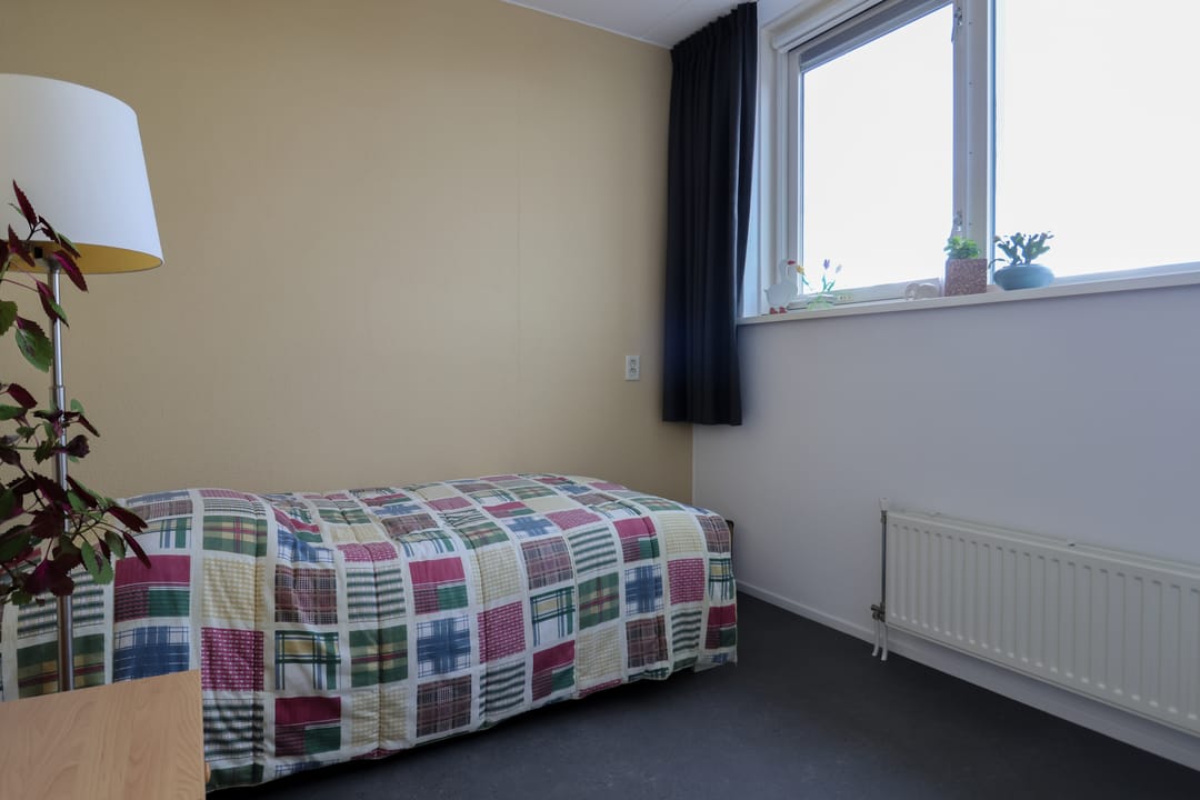 Foto 38 van De Rijd 114-A