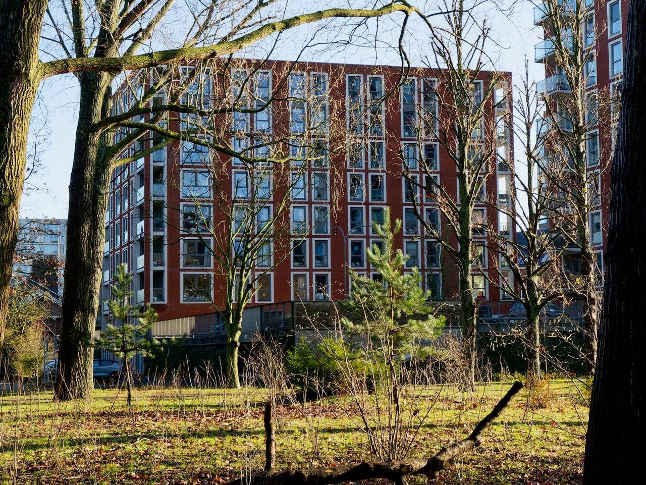 Foto 4 van Dankmeijerpad 39