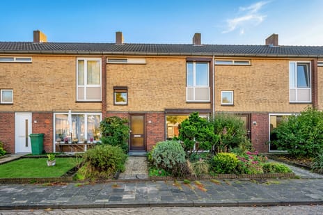 Scholeksterstraat thumbnail