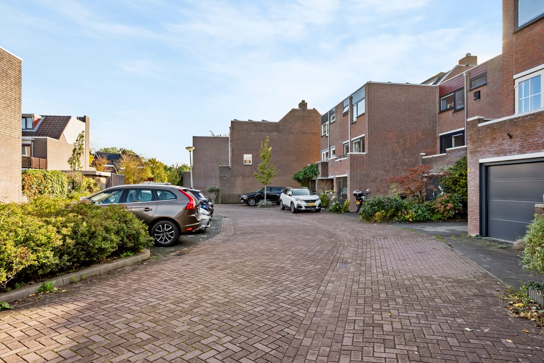 Foto 53 van Sikkelkruid 5