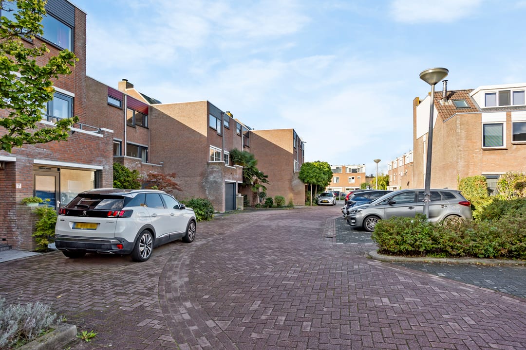 Foto 52 van Sikkelkruid 5
