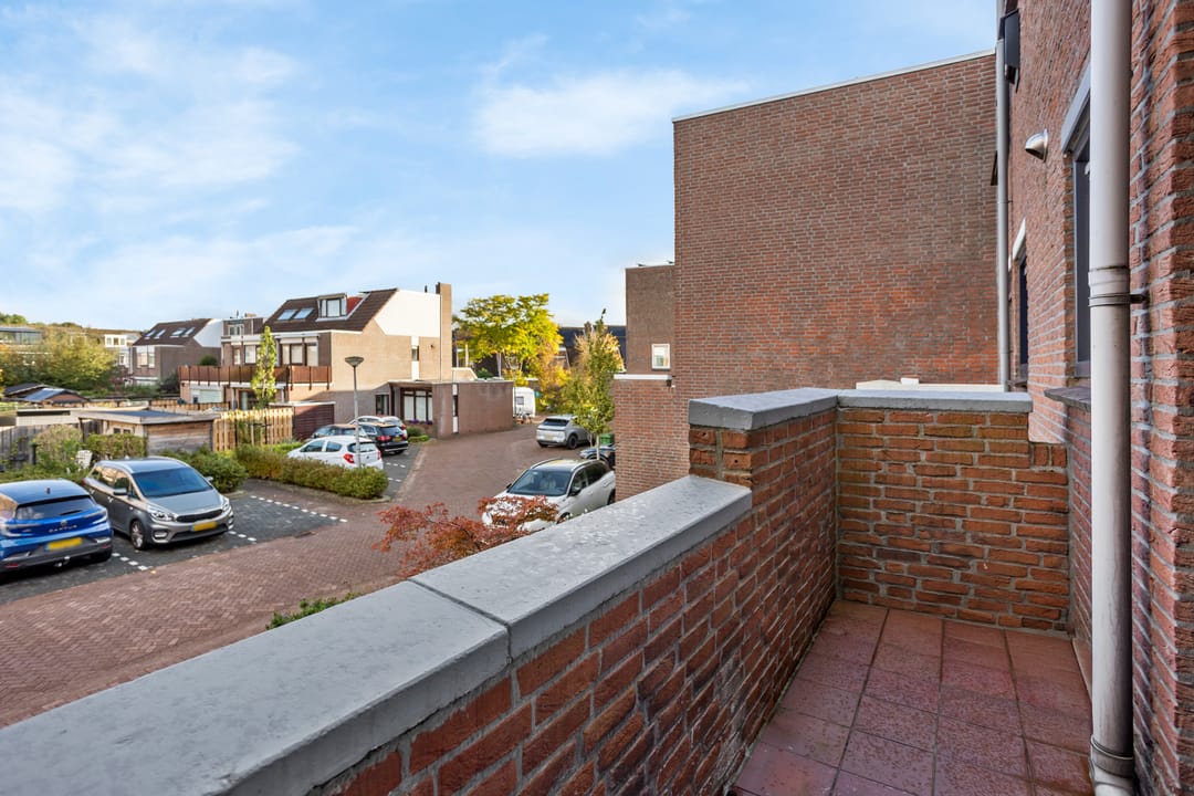 Foto 43 van Sikkelkruid 5