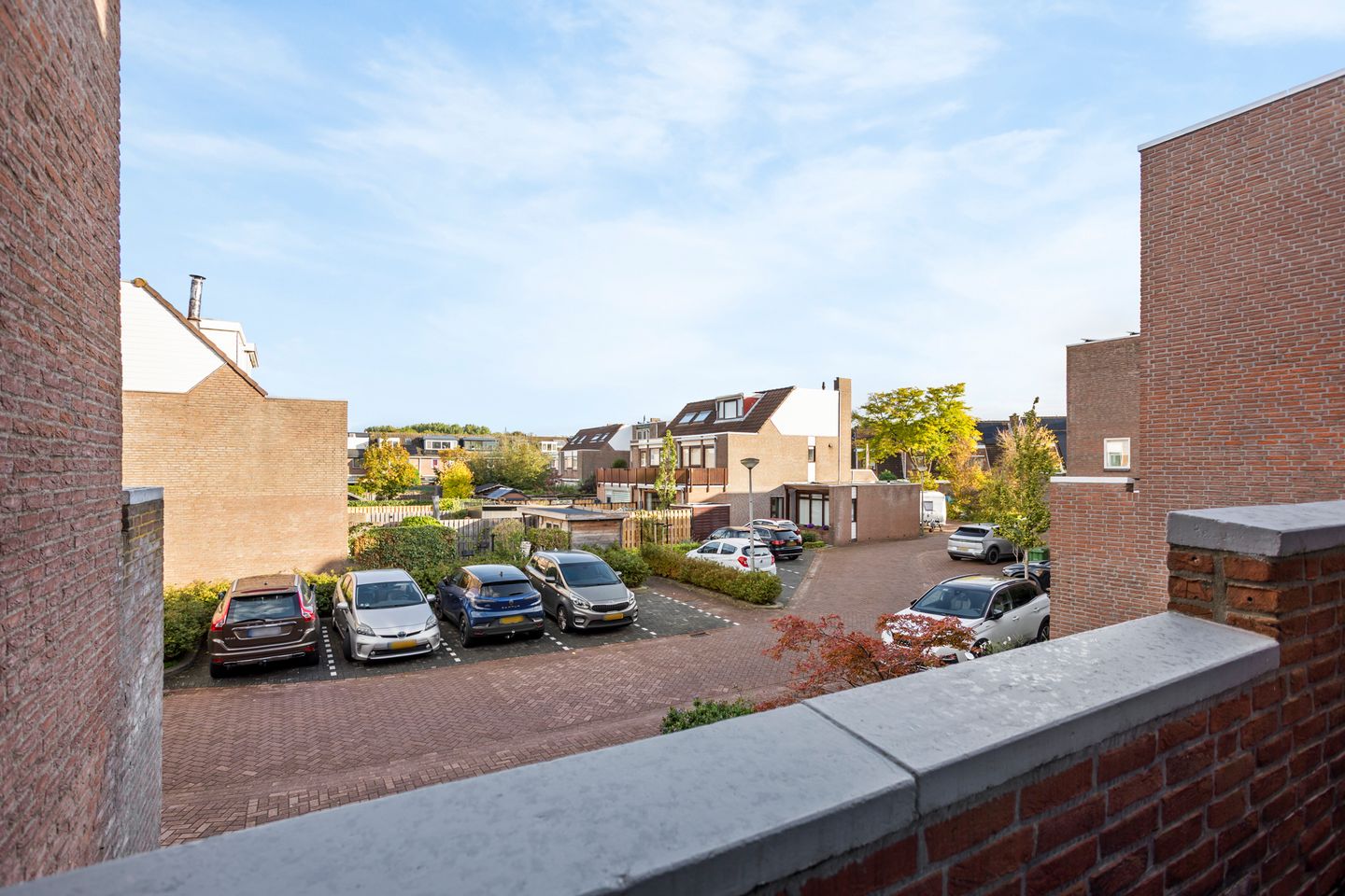 Foto 44 van Sikkelkruid 5