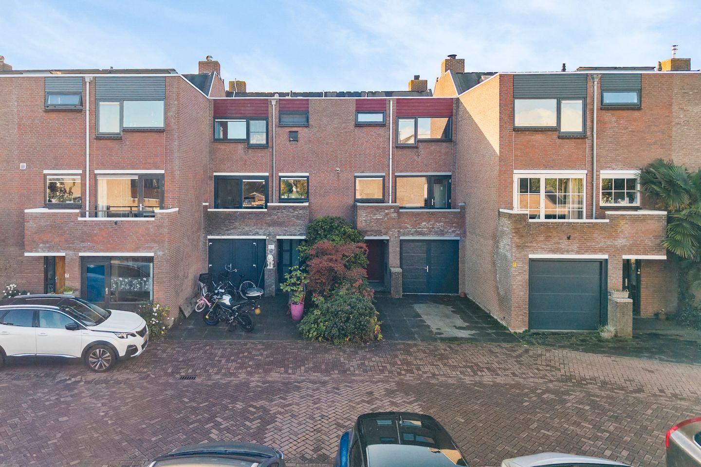 Foto 50 van Sikkelkruid 5