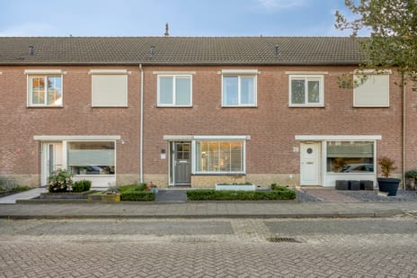Populier thumbnail