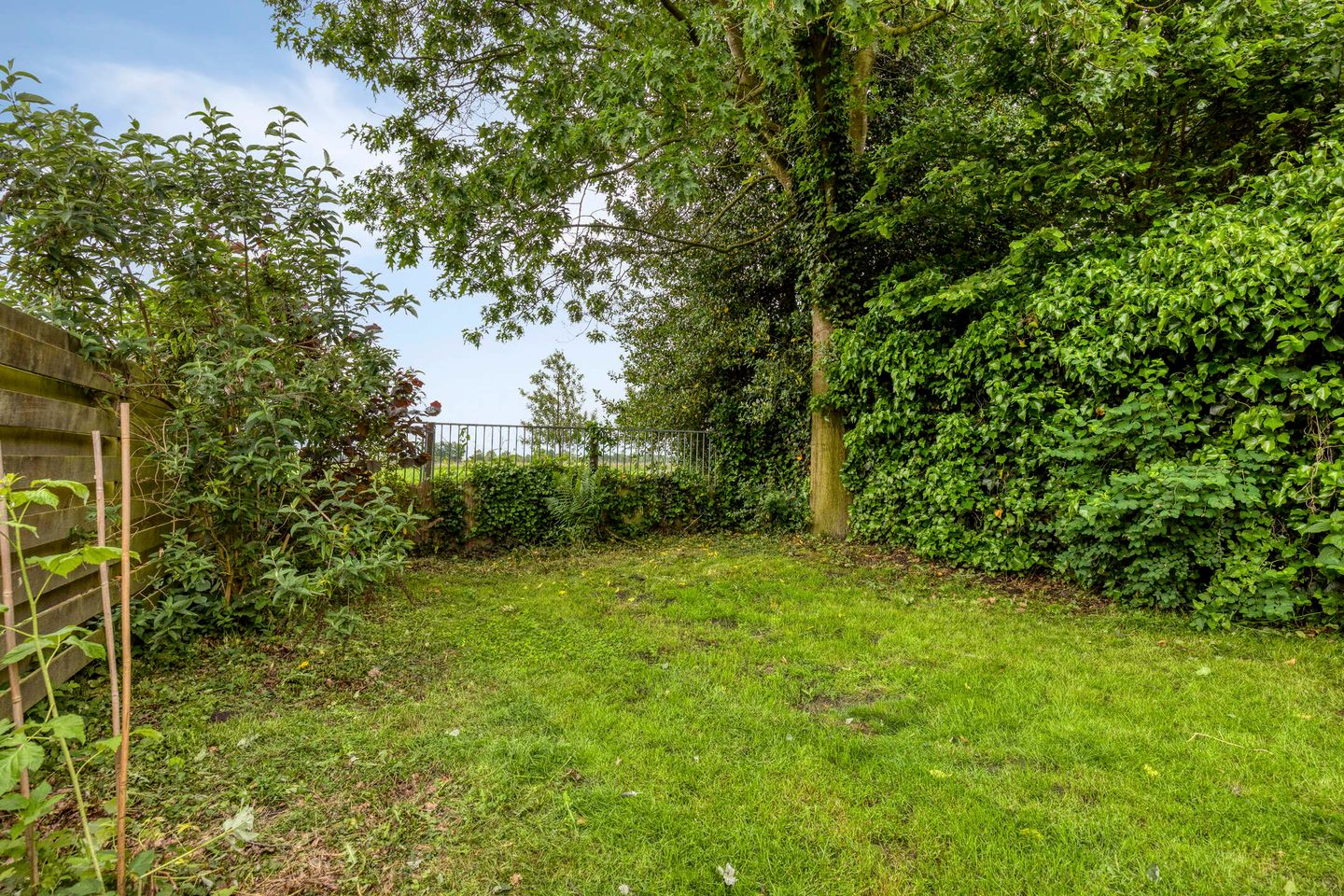 Photo 35 of Tramwijk ZZ 166