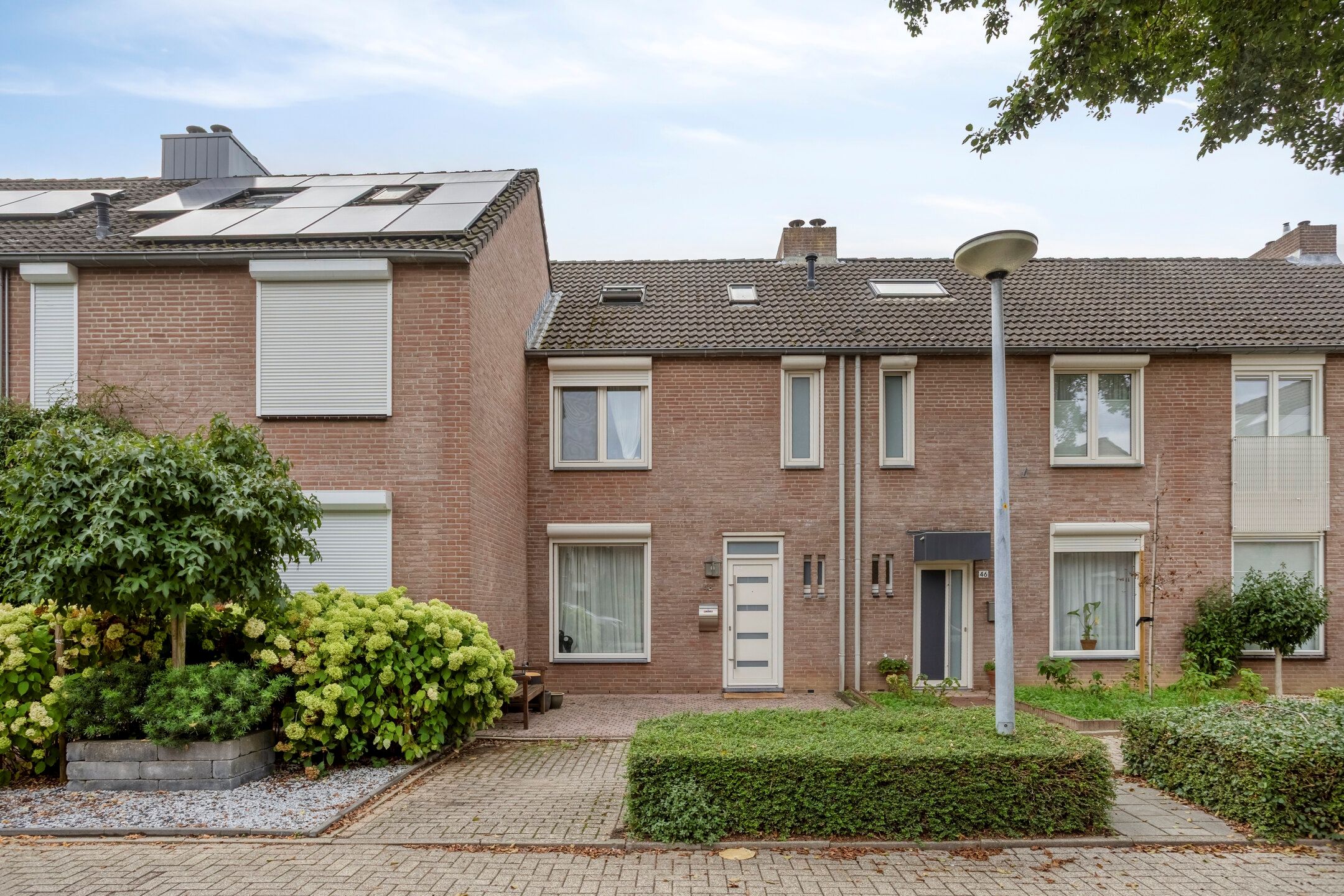 Kamilleweerd 48 