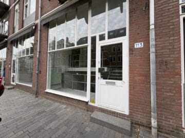 Bekijk foto 3 van Van Oldenbarneveltstraat 113