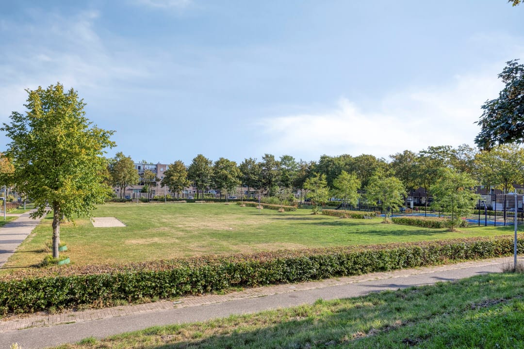 Photo 38 of Kimwierde 422
