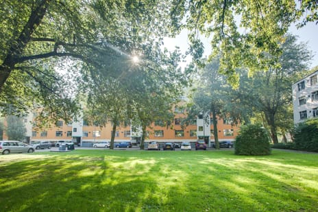 Blaauwstraat thumbnail