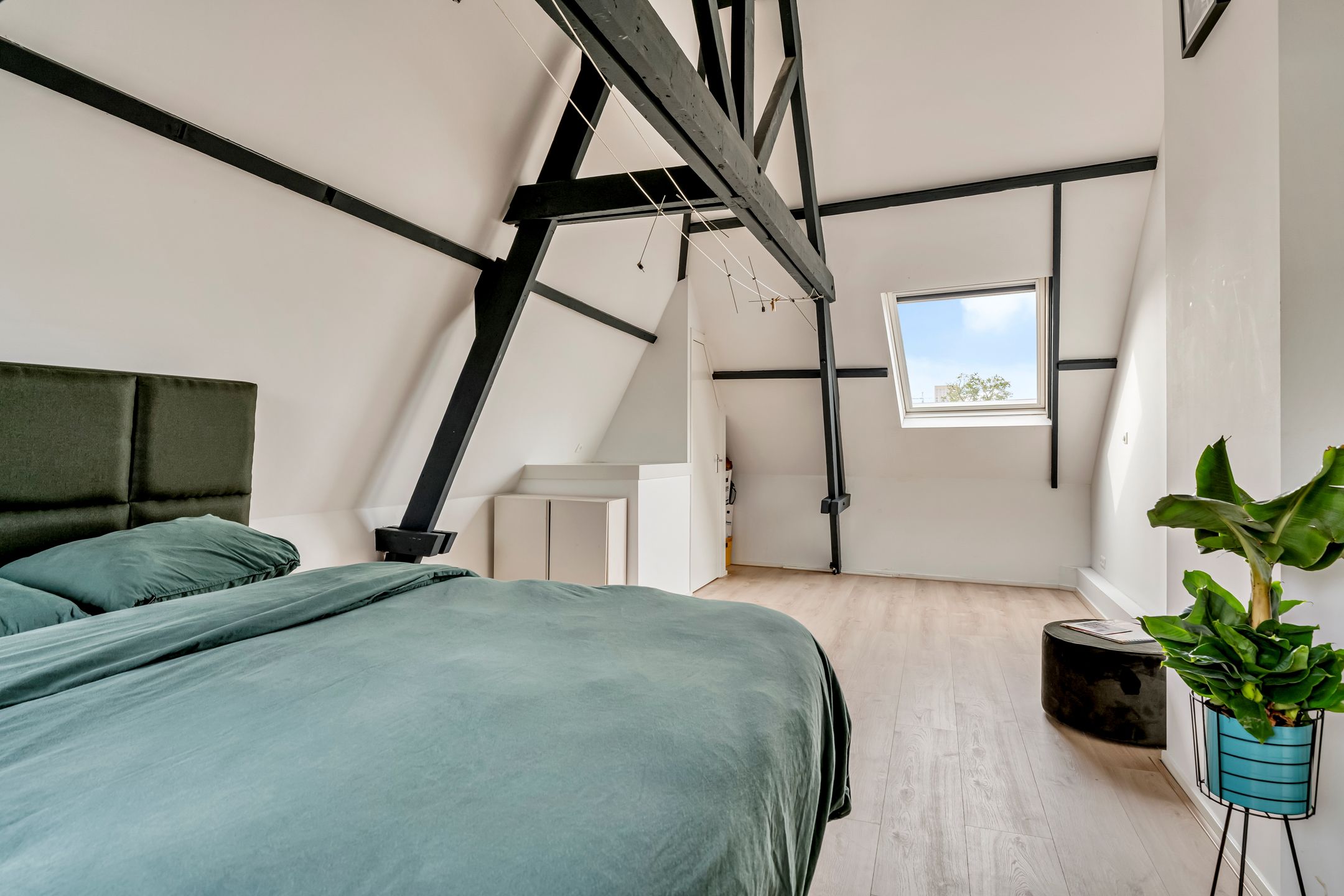 Photo 30 of Molenstraat 118