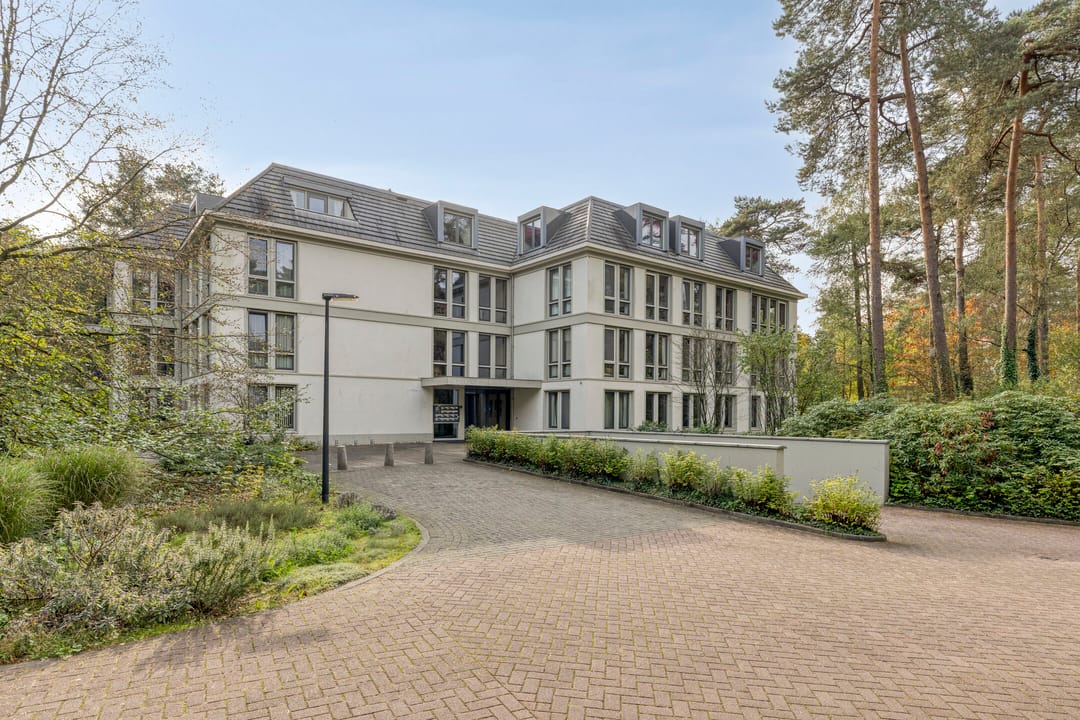 Foto 1 van Palisiumpark 21
