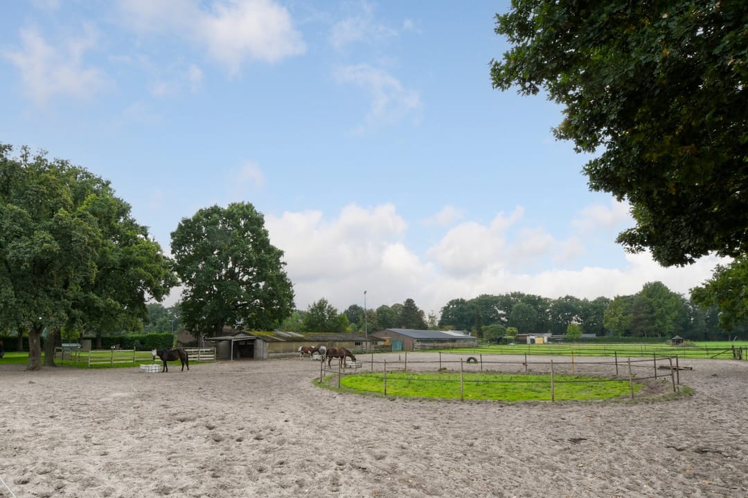 Photo 47 of De Brentjes 29