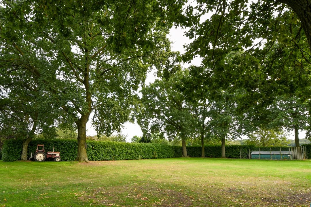 Photo 28 of De Brentjes 29
