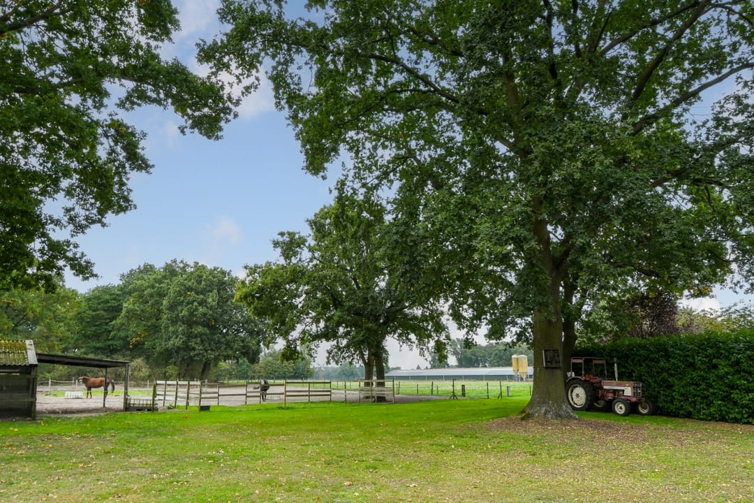 Photo 31 of De Brentjes 29