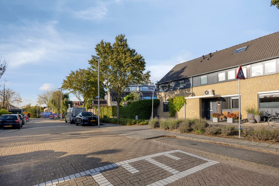 Foto 41 van Molenaar 1