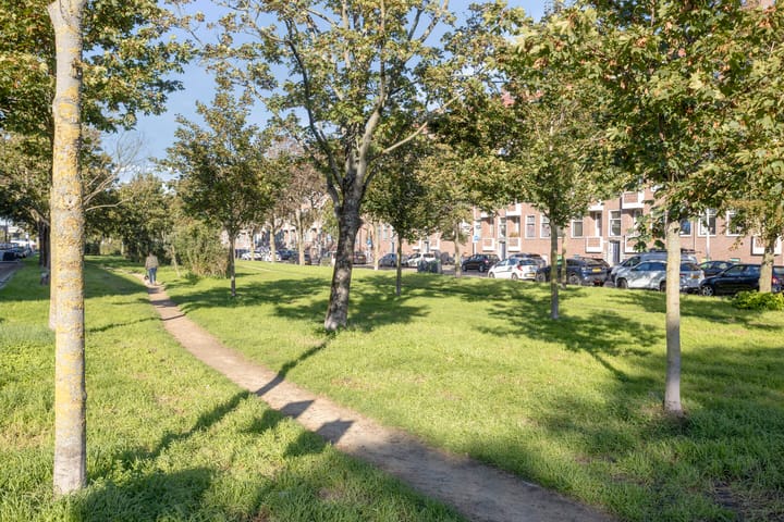Foto 4 van Van 's-Gravesandestraat 15-A