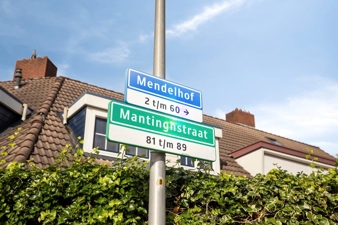 Foto 41 van Mantinghstraat 86