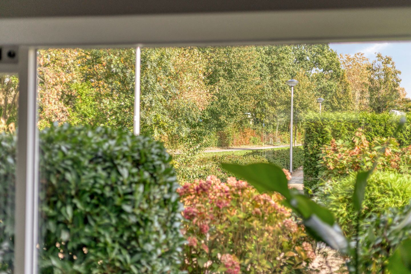 Photo 10 of Ghijseland 226