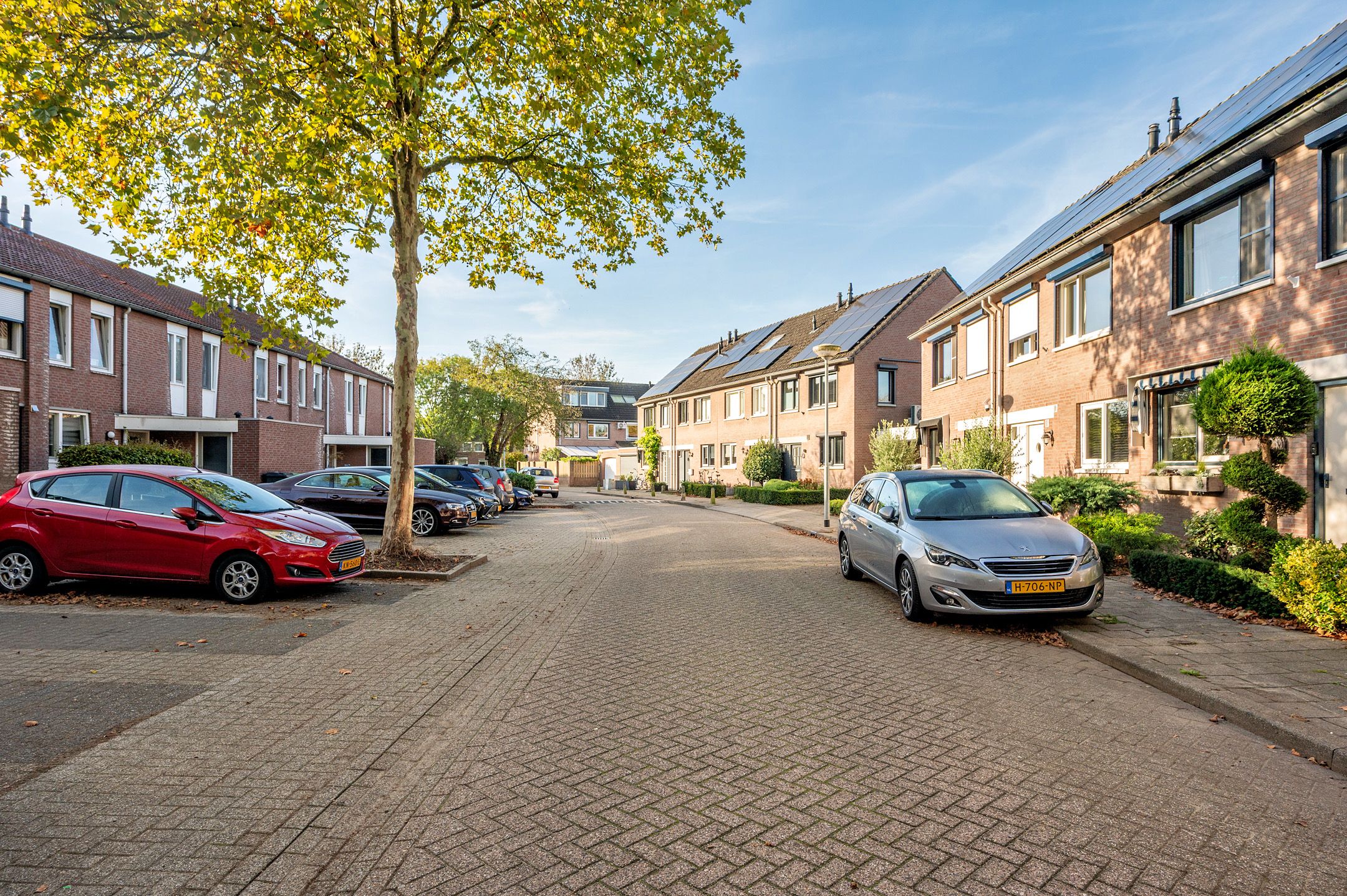 Photo 21 of Gebroeders Daelstraat 4