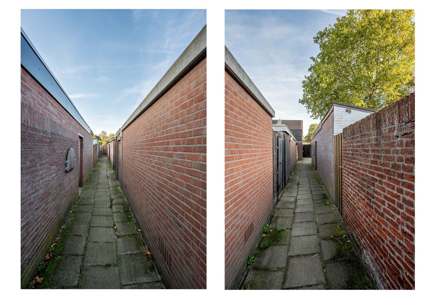 Photo 20 of Gebroeders Daelstraat 4